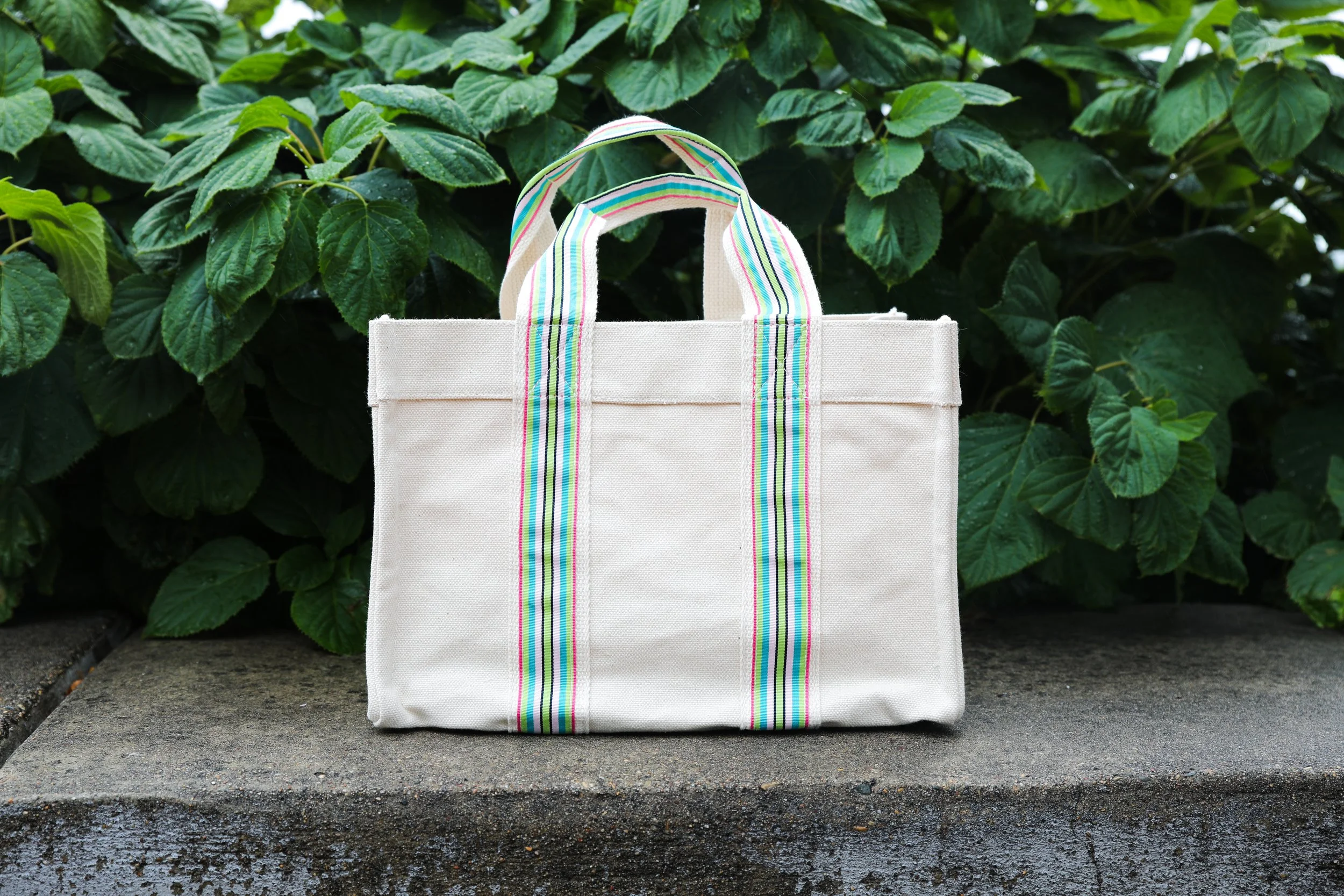 The Tote Bag — Via No. 9